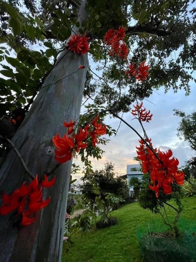 Tip House Khao Kho Exterior foto